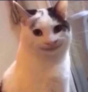 Telegram sticker 😀 جوجو