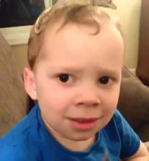 Video sticker 😀 جوجو