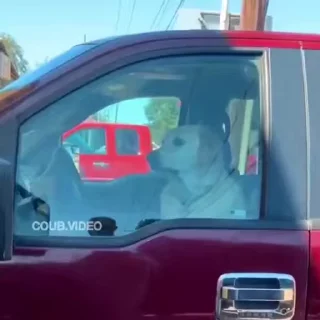 Video sticker 😡 Создай свои стикеры - @sozdsti_bot