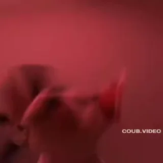 Video sticker 😎 Создай свои стикеры - @sozdsti_bot