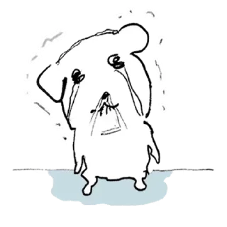 Video sticker ⭐️ 듀! 가나디