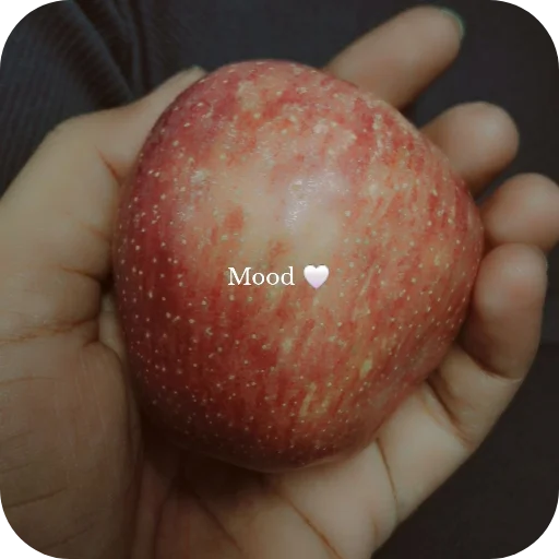 Telegram sticker 🍲 It's me