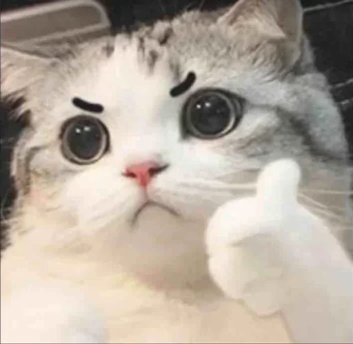 Telegram sticker 👍 Akimasa