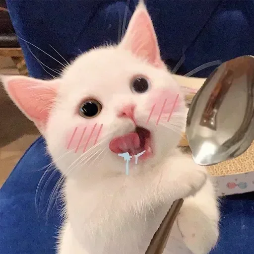 Telegram sticker 😋 Akimasa