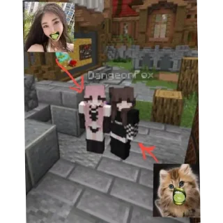 Telegram sticker 🐱 солевая альтушка