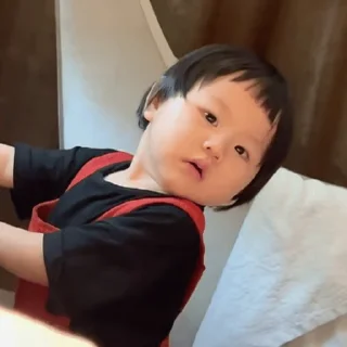 Video sticker 🥰 ดูมันพูดดิ เชรดลุ้ววว