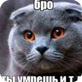 Telegram sticker 🫥 Nuachee Ebatoria :: @fStikBot