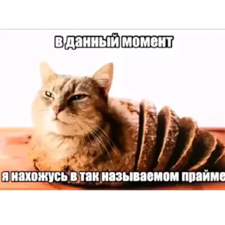 Telegram sticker 🫥 Nuachee Ebatoria :: @fStikBot