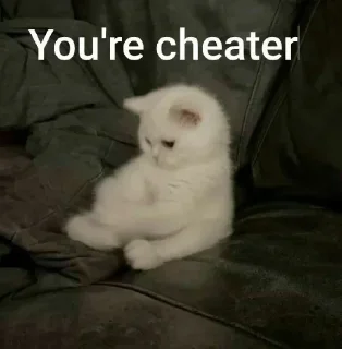 Video sticker 🤩 Tipi's pack