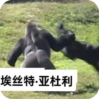 Телеграм стикер 🦁 Schizophrenic Stickers