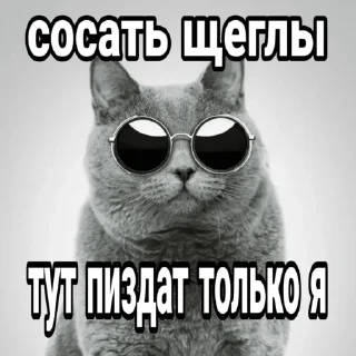 Sticker 😎 лютейшие стики