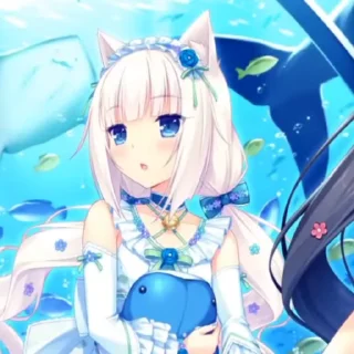 Video sticker 😅 ванилла !! @nekoparadox :: @fStikBot