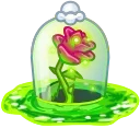 Video sticker 🎁 Eternal Rose by @G...