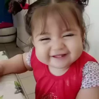 Video sticker 😂 APT 🤓 PIKU