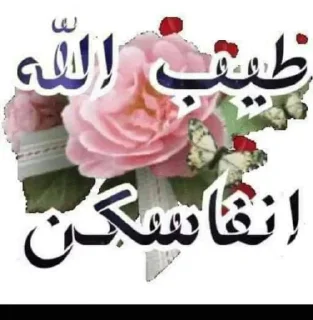 Video sticker 🈹 🌺زهرة ام محمد امين 🌺