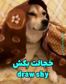 Video sticker 😐 @slp_dokhtari | سلپ ۶