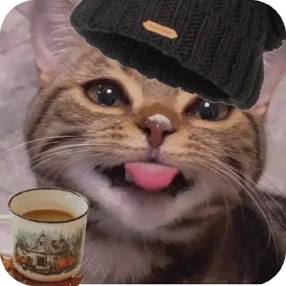 Telegram sticker 🐱 Больше стиков тут: @archstick