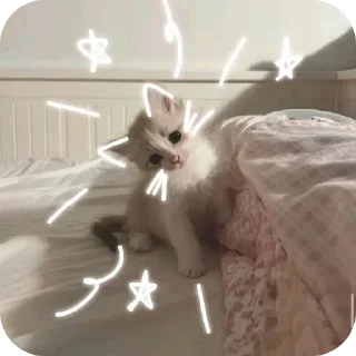 Telegram sticker 🐱 Больше стиков тут: @archstick