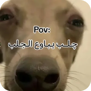 Telegram sticker 🤲 حسيون 1
