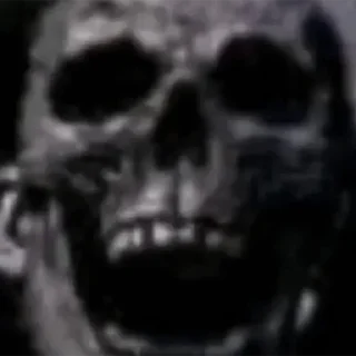 Telegram sticker 💀 Gesichter
