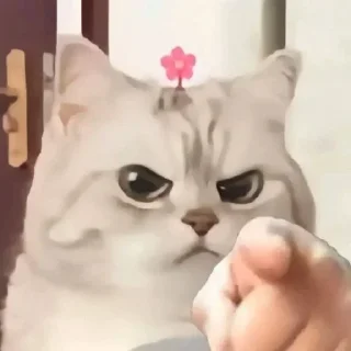 Telegram sticker 😠 乃乃专用表情包🌈