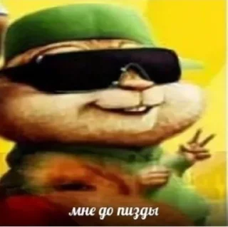 Video sticker 🙂 Чозапомои