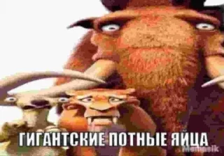 Telegram stiker 😱 Чозапомои