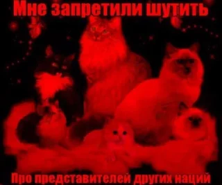 Telegram stiker 😰 Чозапомои