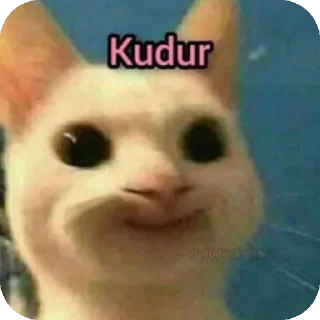 Telegram stiker 🤲 @Taninilmaz SHİTPOST