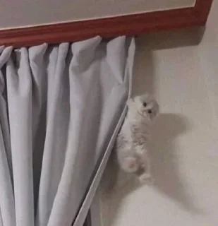 Telegram sticker 💘 @SYYYY , @XYYYY ᴗ͈ˬᴗ͈