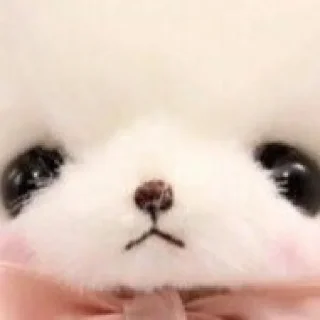 Telegram sticker 💘 @SYYYY , @XYYYY ᴗ͈ˬᴗ͈