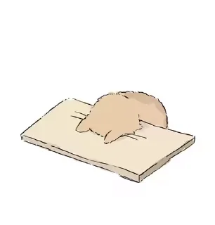Video sticker 🐱 Nosense @MyselfMeandIo