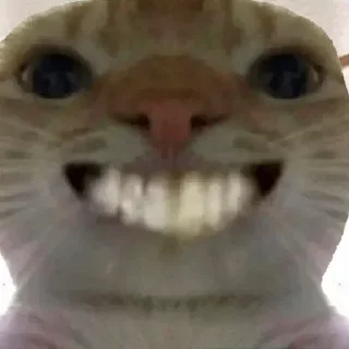 Telegram stiker 😁 Pain