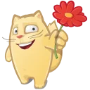 Video sticker 💐 mamba