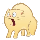 Video sticker 😱 mamba