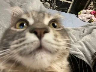 Video sticker 😨 bruuh