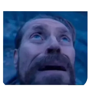 Video sticker 👍 подшар