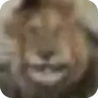 Video sticker 🤩 Шанс имба @MoiStikiBot