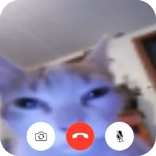 Telegram sticker 📲 Cock and balls torture