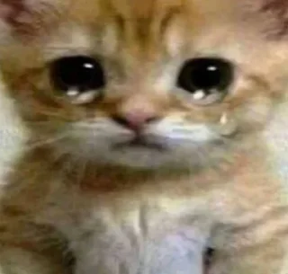 Telegram sticker 🥺 Пися попа кака