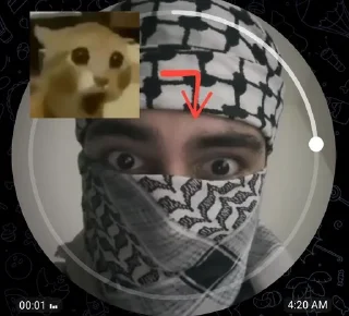 Video sticker 😱 kio gay whiggA