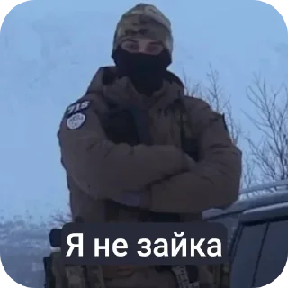 Sticker 🌟 Милитурист