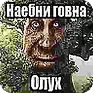 Video sticker 🖼 Лучшие стикеры ever