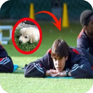 Telegram sticker 🫥 Футбол