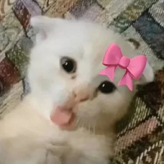 Video sticker 🌟 @AniPackBot | استیکرساز😍