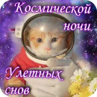 Telegram sticker 🖼 @stickeri_tg 💋<-- стикеры тут