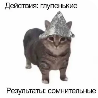 Telegram sticker 🐱 @stickeri_tg 💋<-- стикеры тут