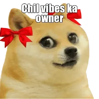 Telegram sticker 😀 DOGESH BHAII💞☠️ @ll_MY_CORE_ll
