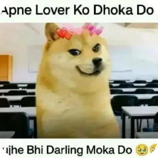 Video sticker 📦 DOGESH BHAII💞☠️ @ll_MY_CORE_ll