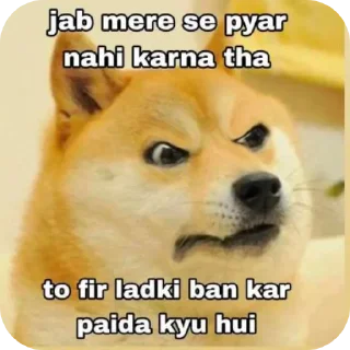 Video sticker 🐶 DOGESH BHAII💞☠️ @ll_MY_CORE_ll